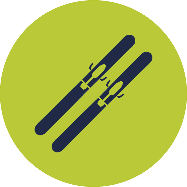 skis icon